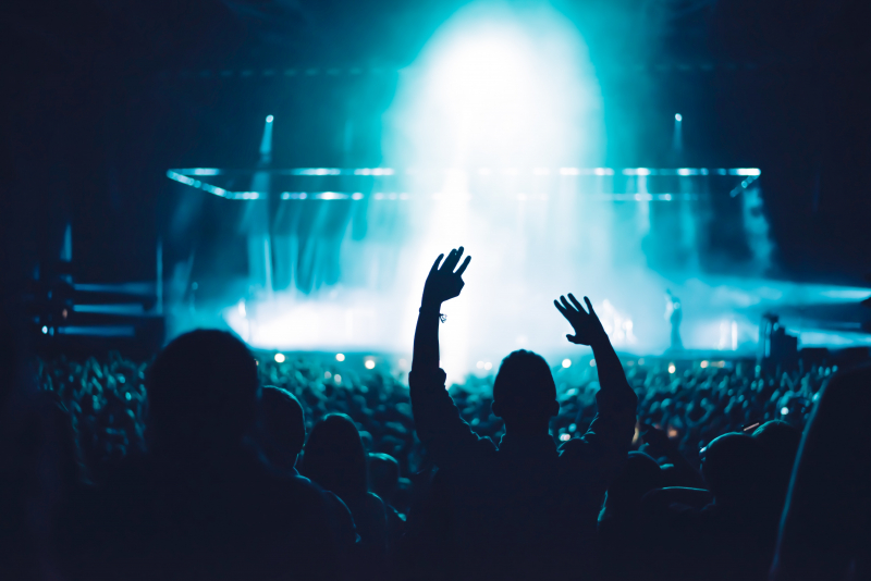 Entertainment Industry